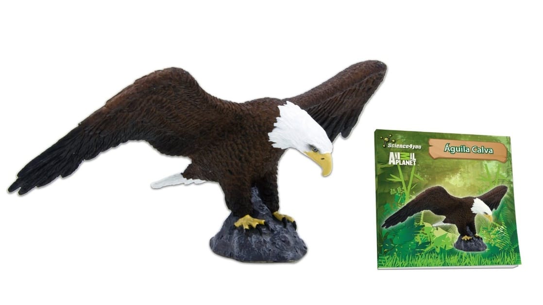 Mojo Fun 387027 American Bald Eagle - Realistic International Wildlife Toy Replica