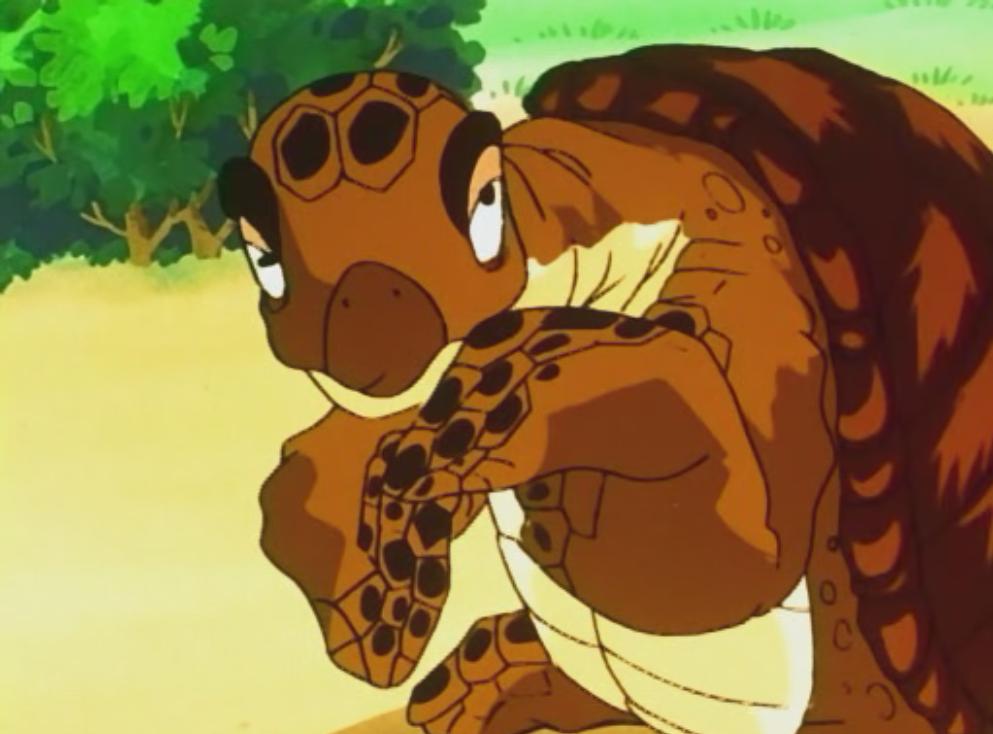 Turtle