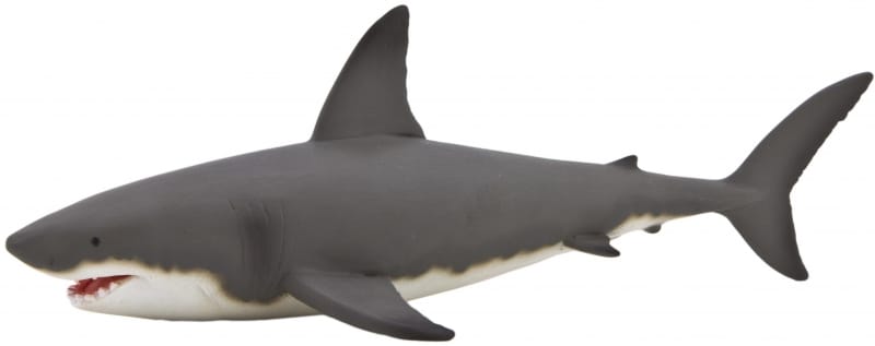 Mojö great white shark