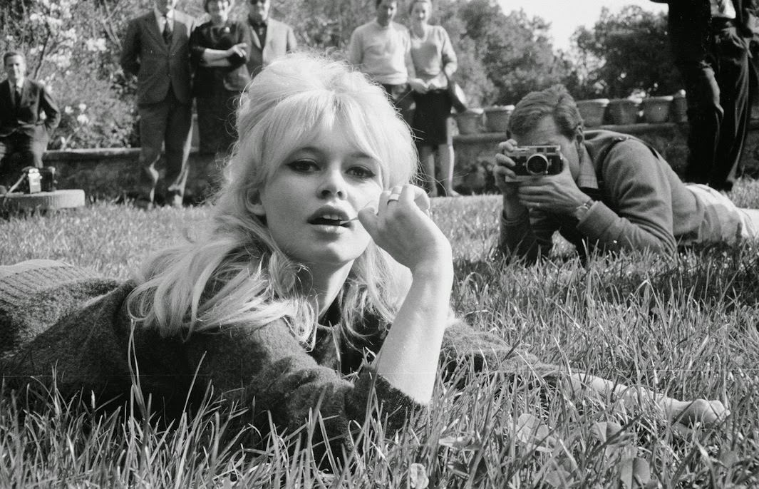 Picture Of Brigitte Bardot