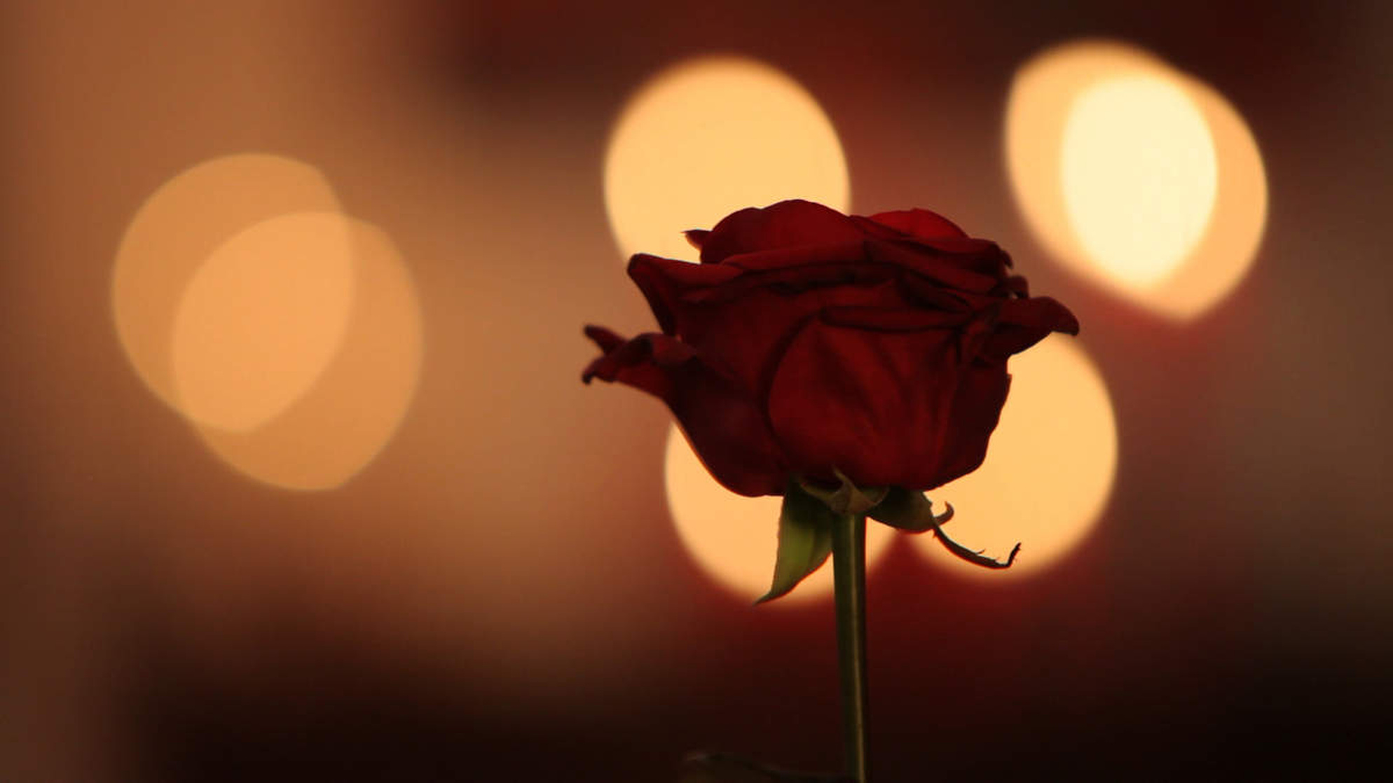 Pour moi, pour toi...