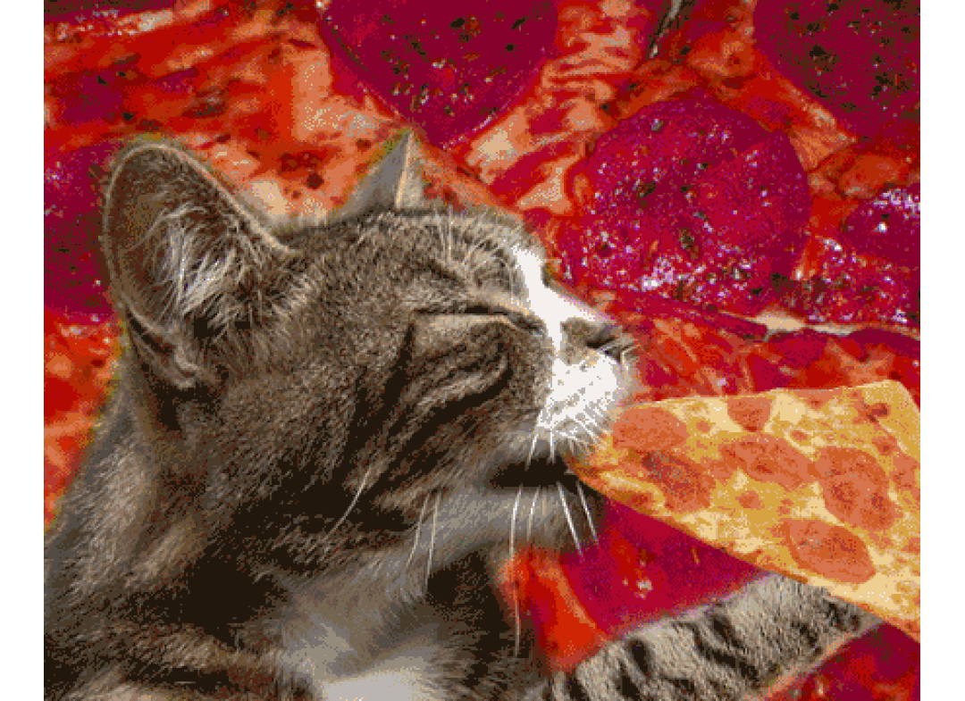 Pizza image Pizza image