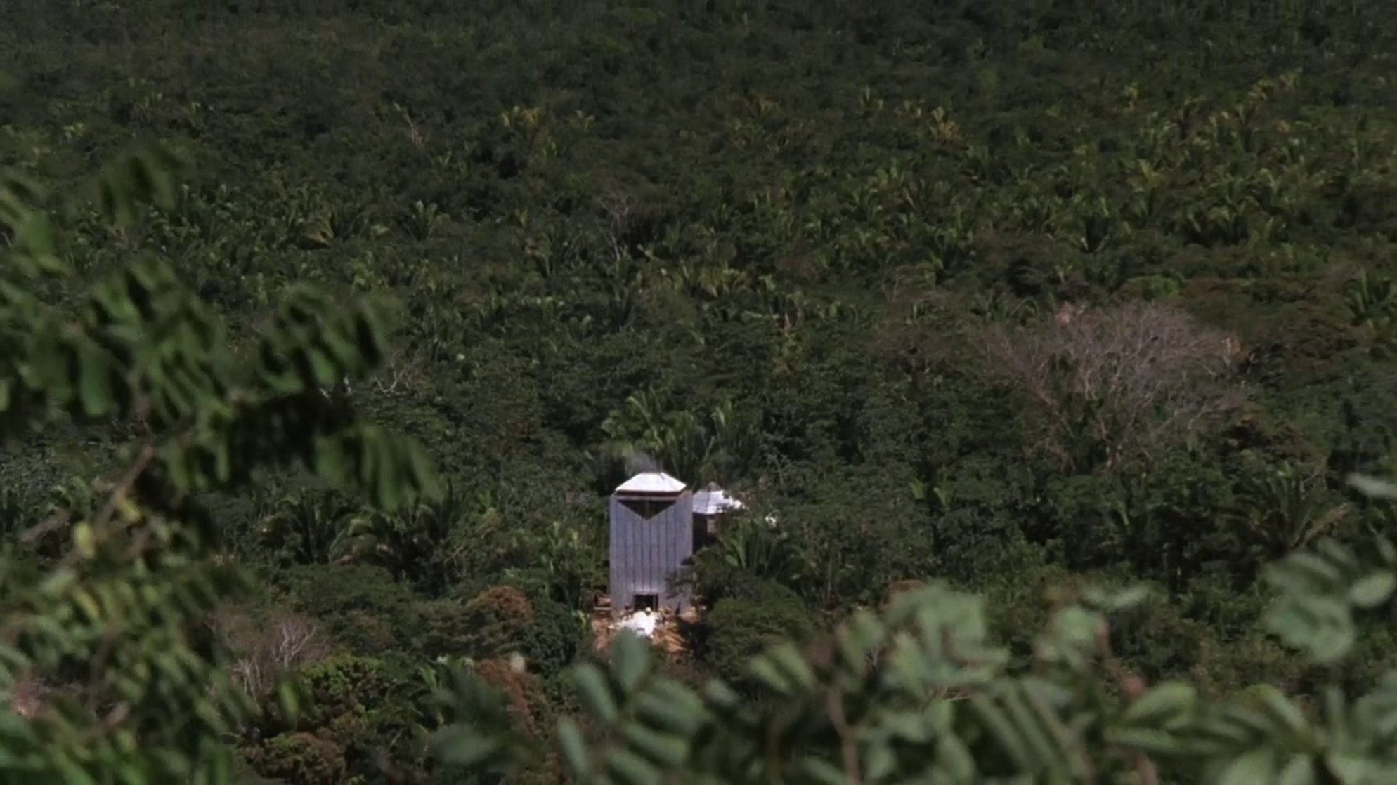 The Mosquito Coast