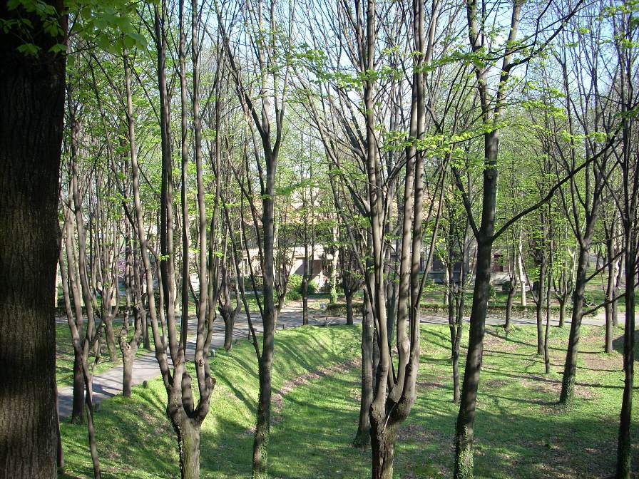 Mombello Psychiatric Hospital