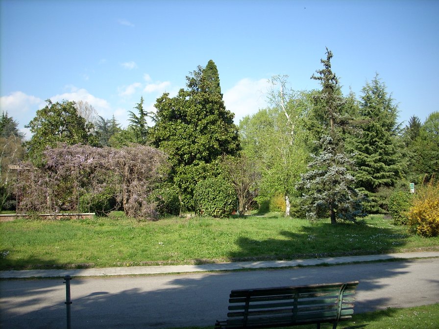 Mombello Psychiatric Hospital