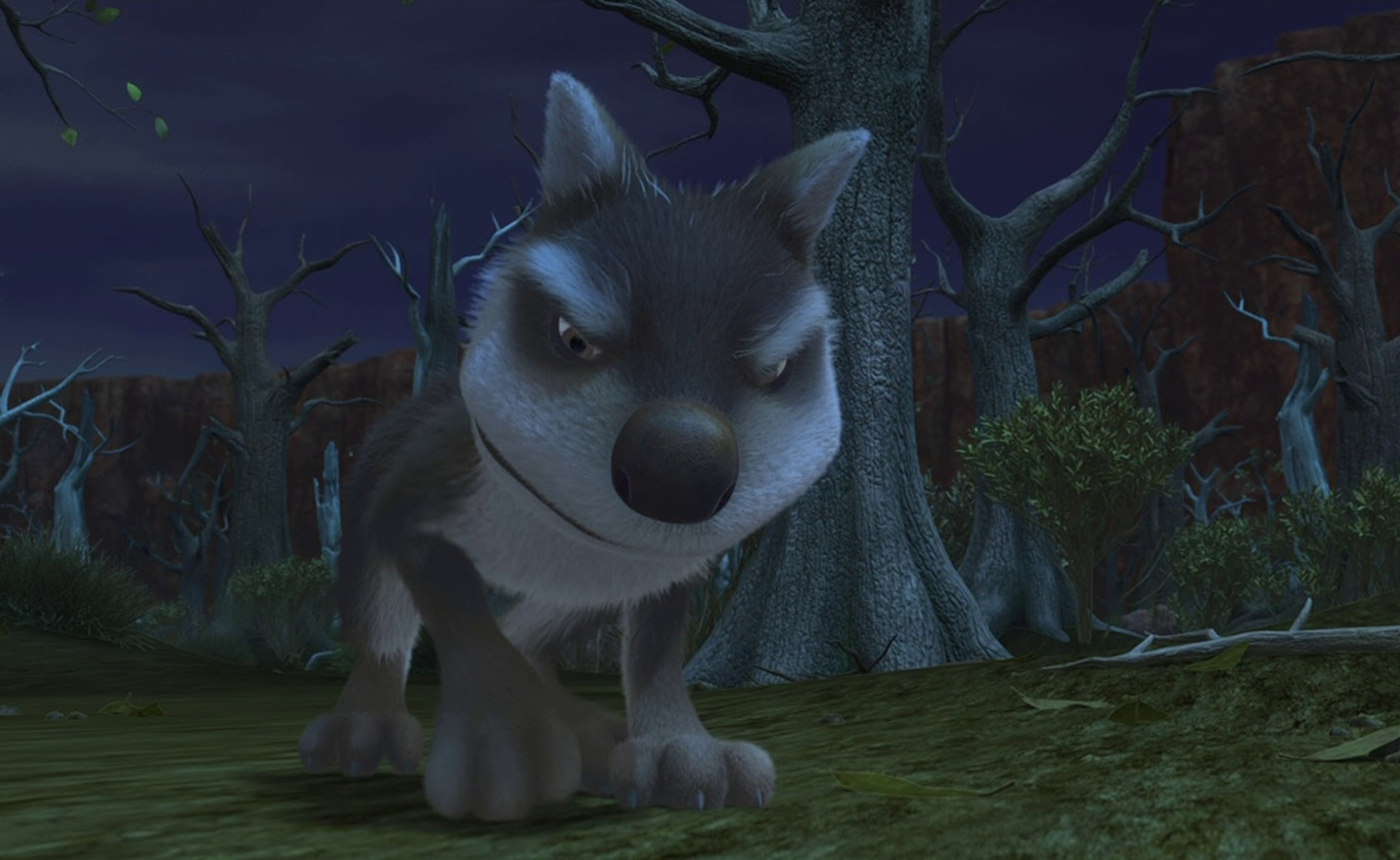 The Outback (Koala Kid)