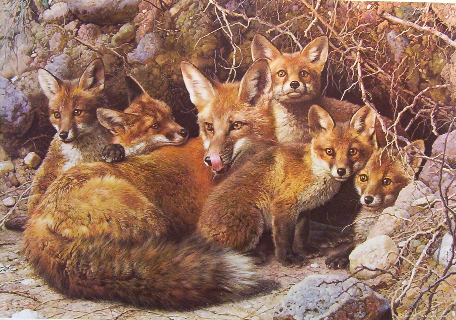 Full House Fox Family by Carl Brenders