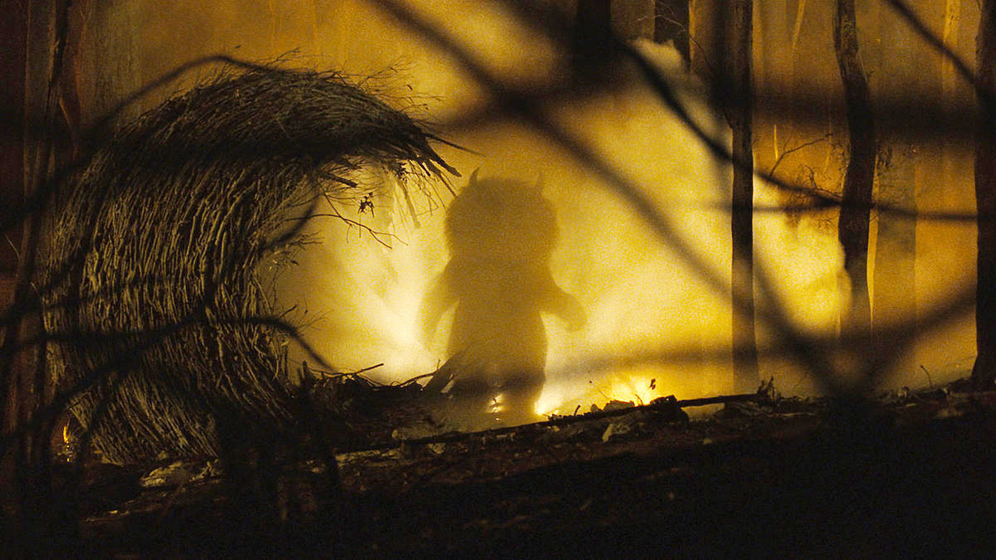 Where the Wild Things Are Where the Wild Things Are
