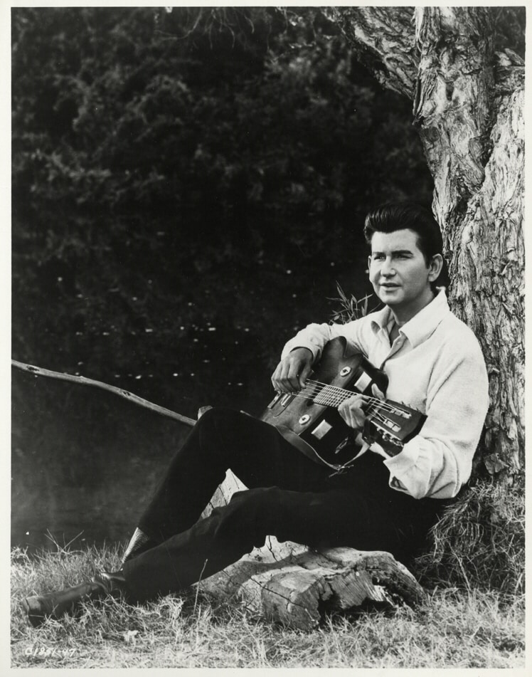 Roy Orbison image