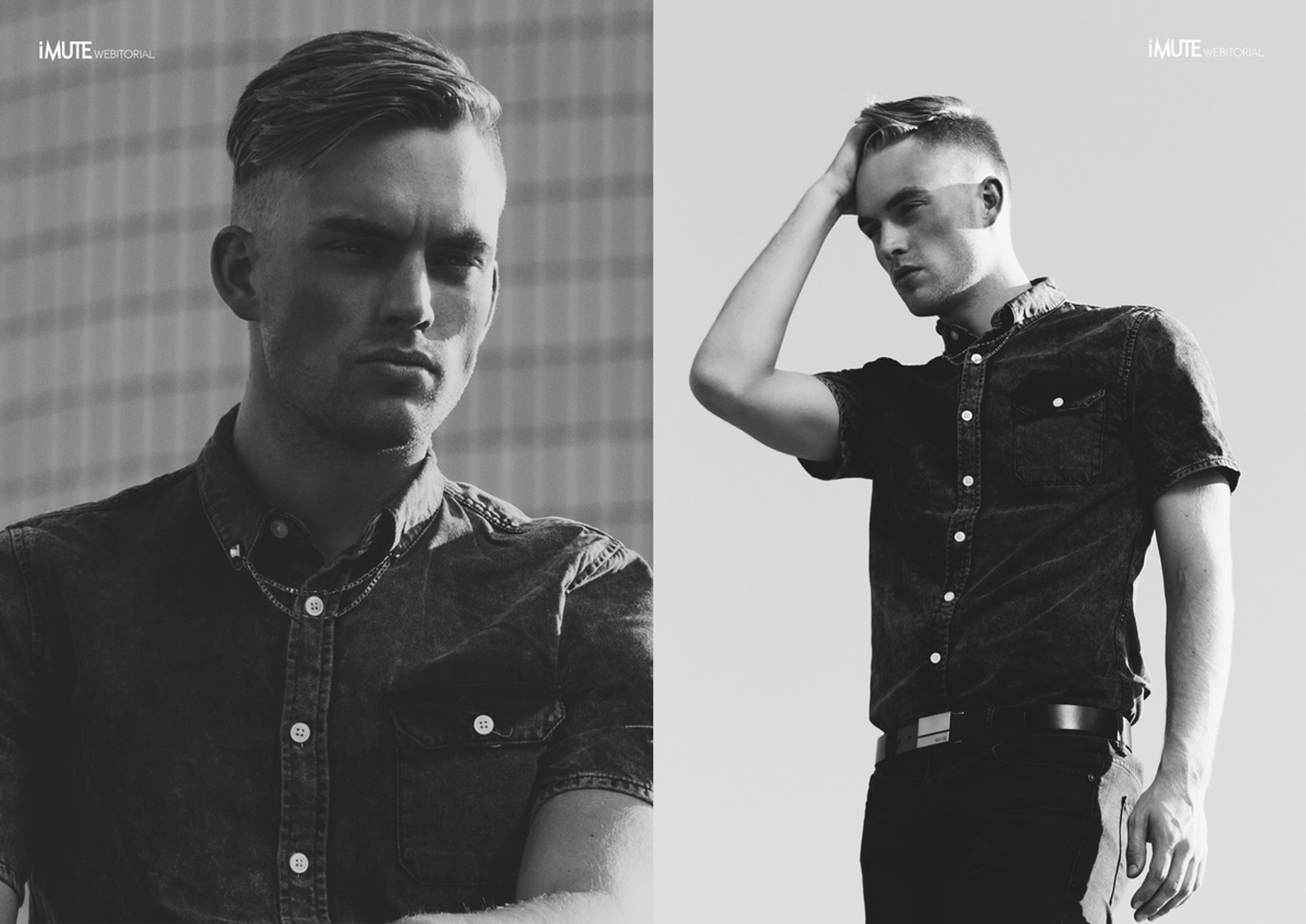 Will Jardell