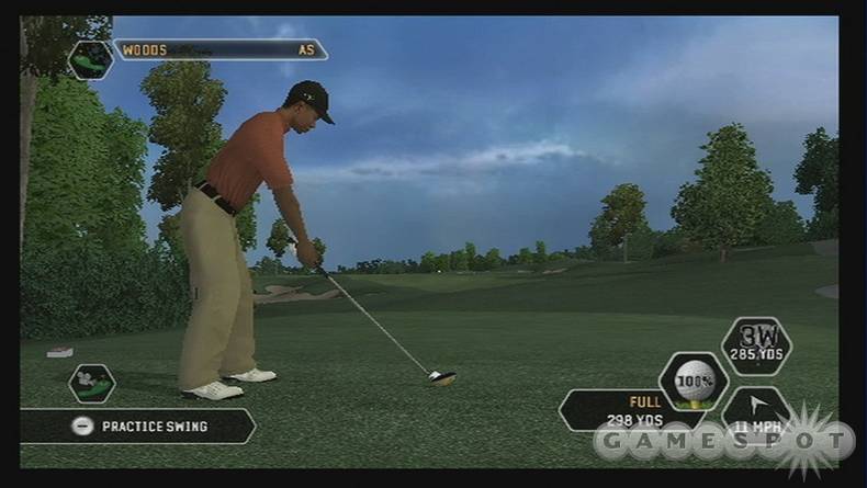 Tiger Woods PGA Tour 08