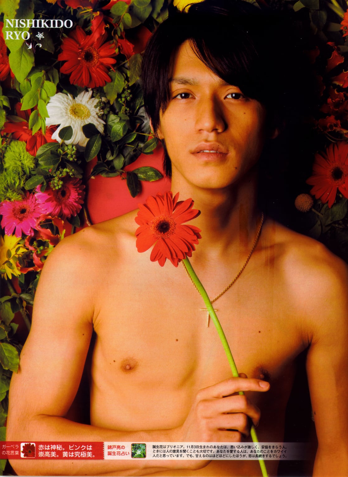 Picture Of Ryo Nishikido