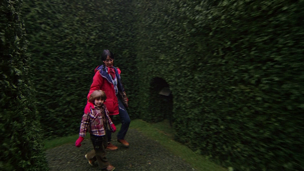 The Shining The Shining