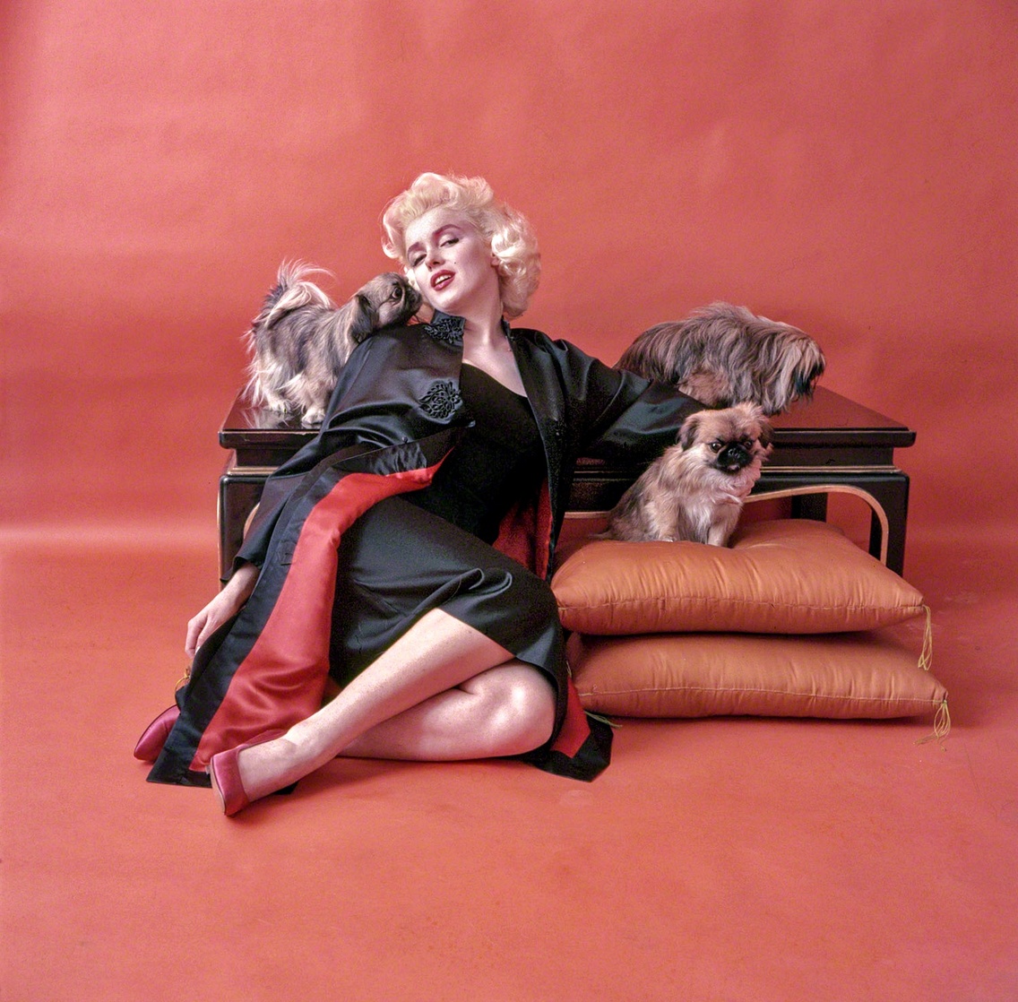 Marilyn Monroe Marilyn Monroe