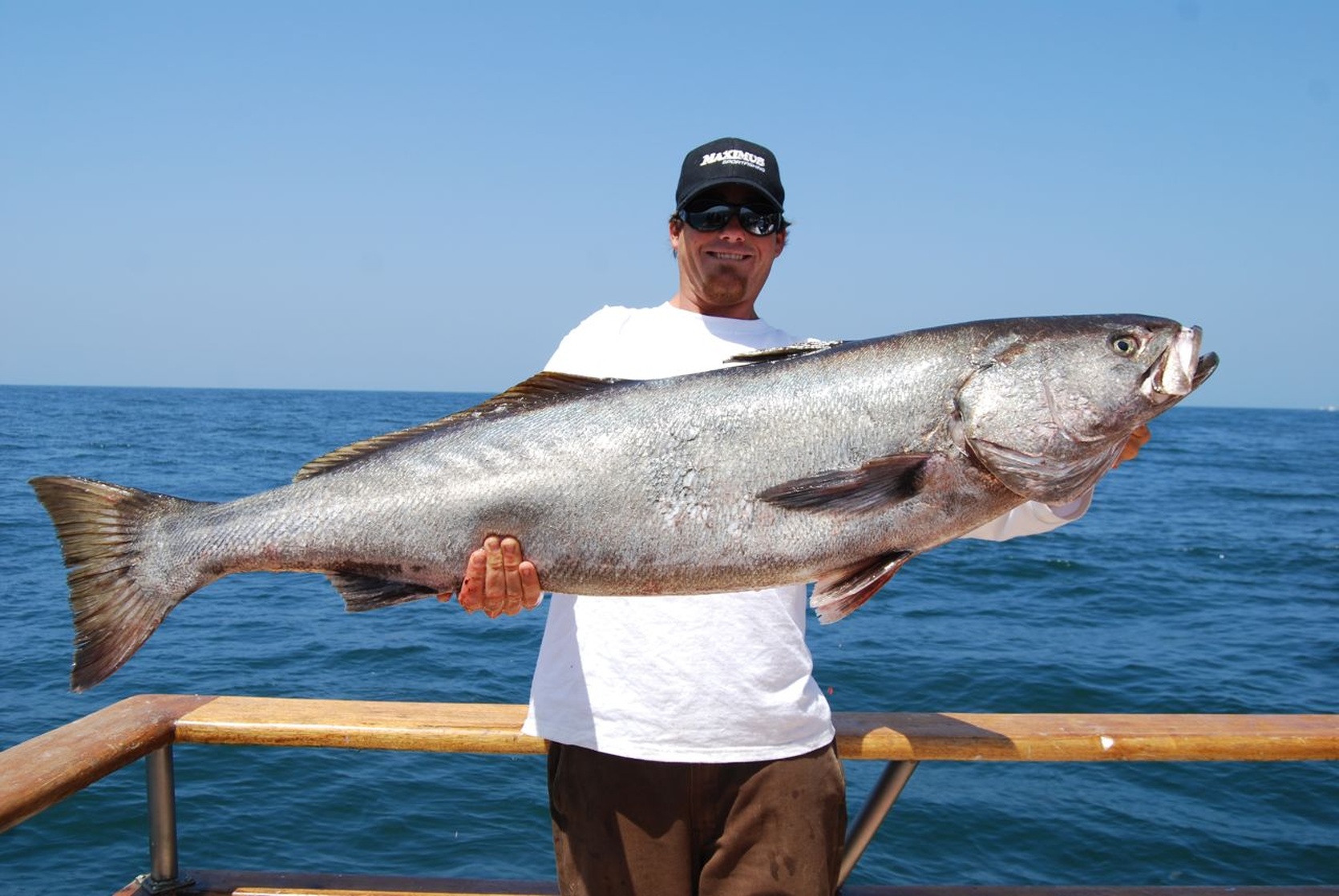 White Seabass
