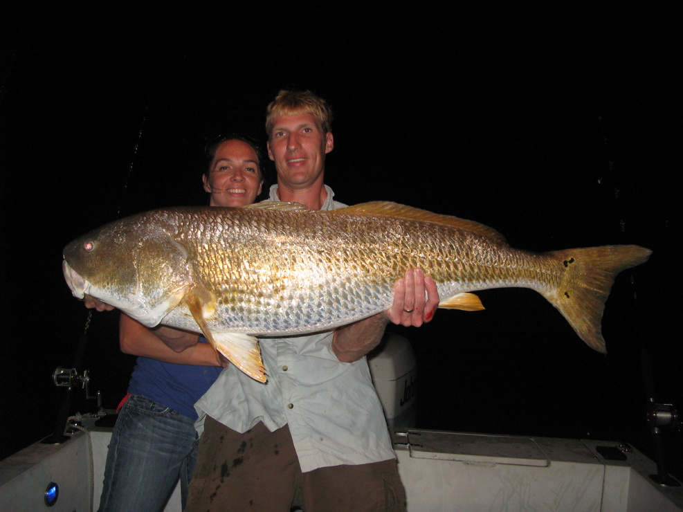 Picture of Red Drum