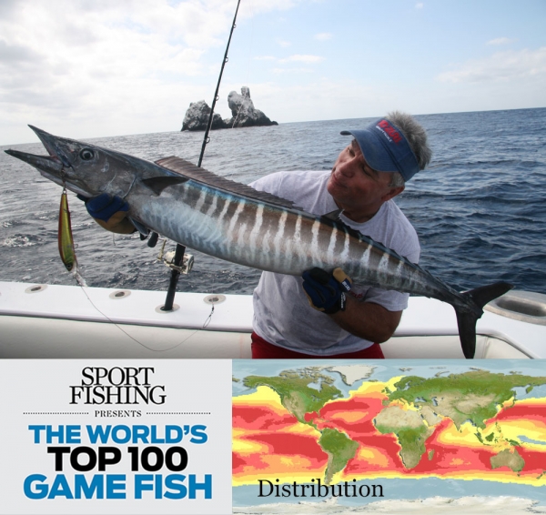 Picture of Wahoo