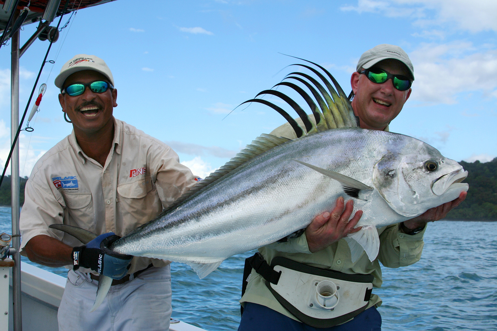 Roosterfish
