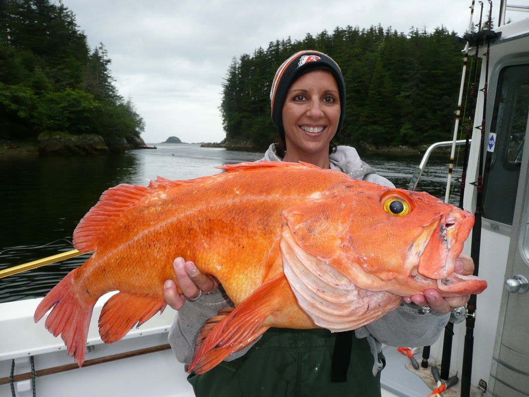 Yelloweye Rockfish image