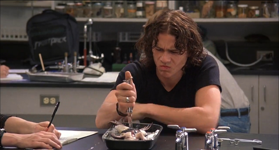 10 Things I Hate About You