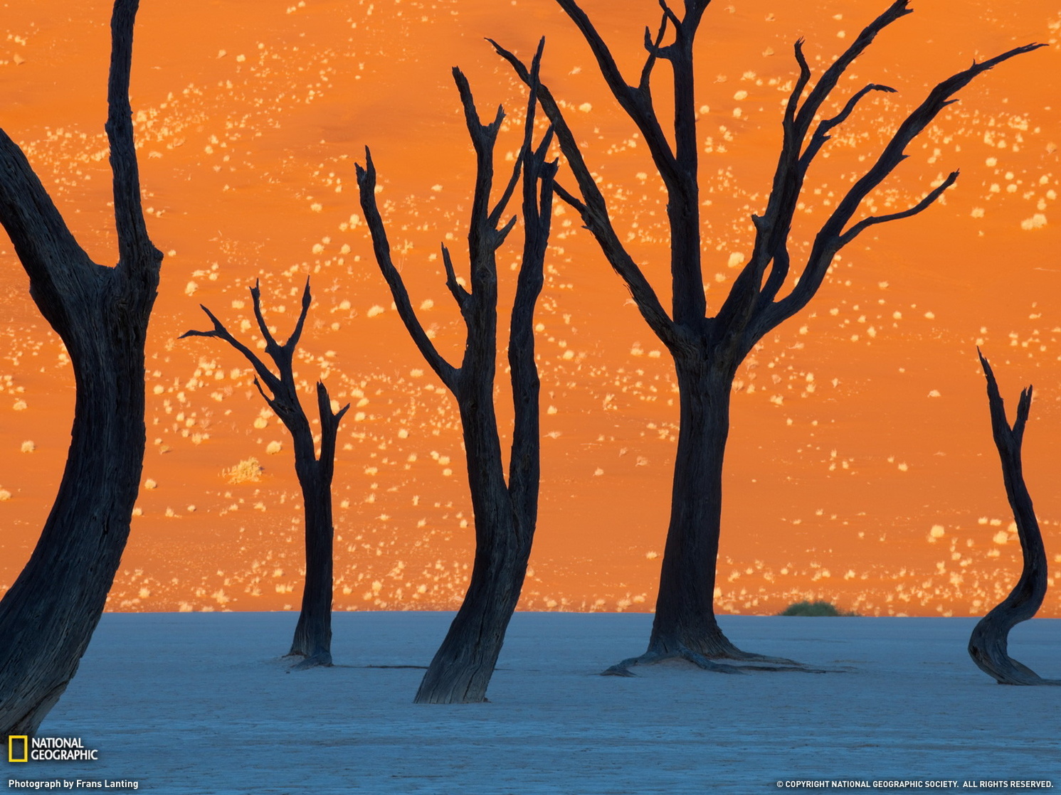 Sossusvlei (Sossus Vlei)