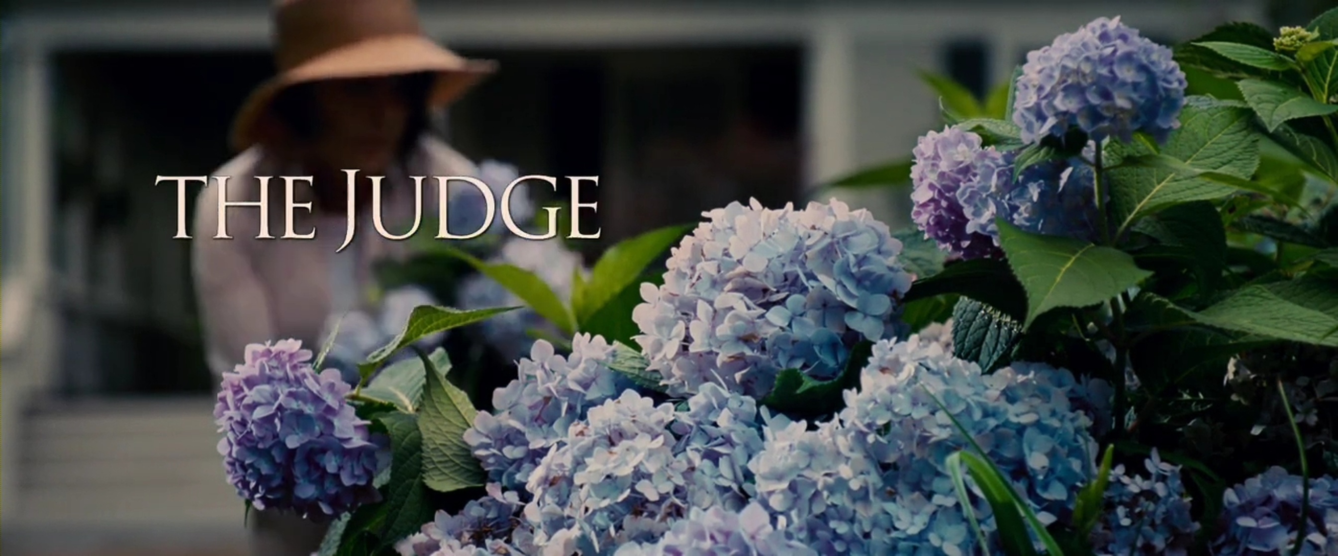 The Judge The Judge