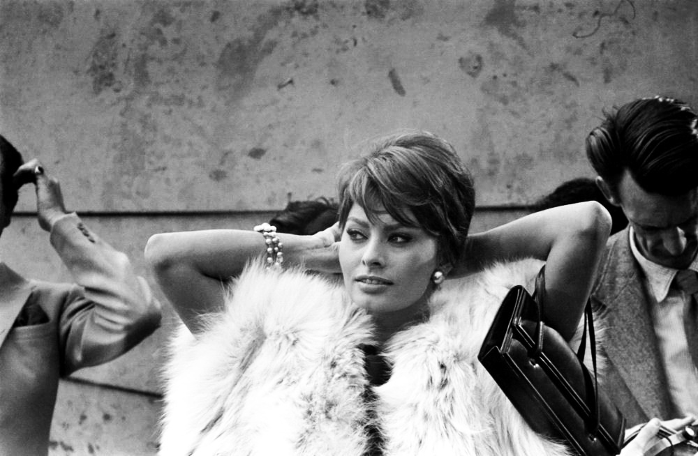 Sophia Loren