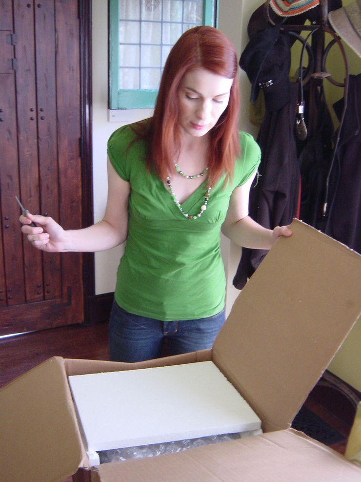 Picture of Felicia Day