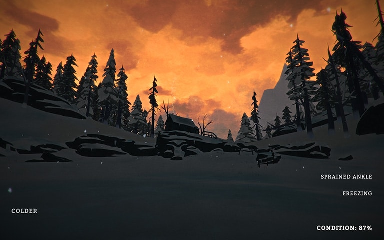 The Long Dark