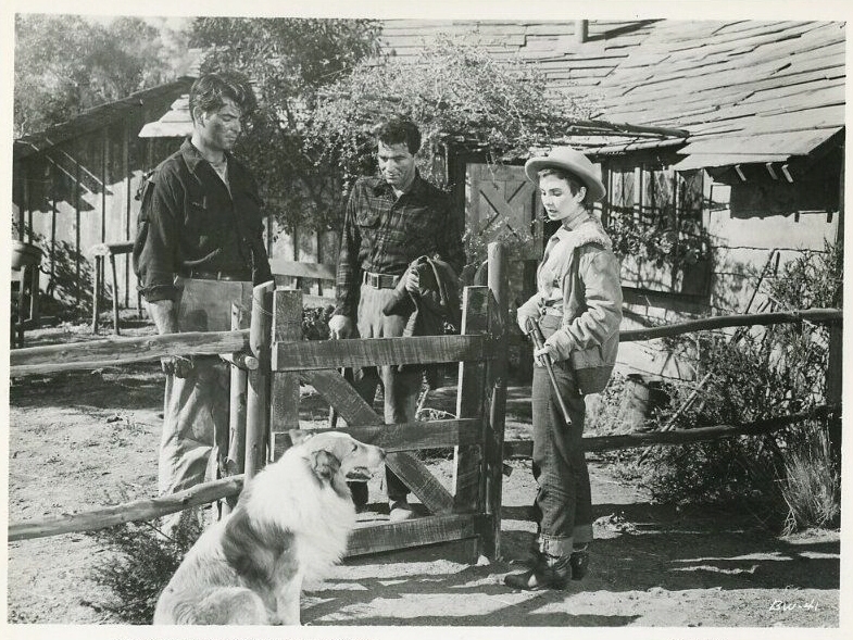 A Bullet Is Waiting (1954) A Bullet Is Waiting (1954)
