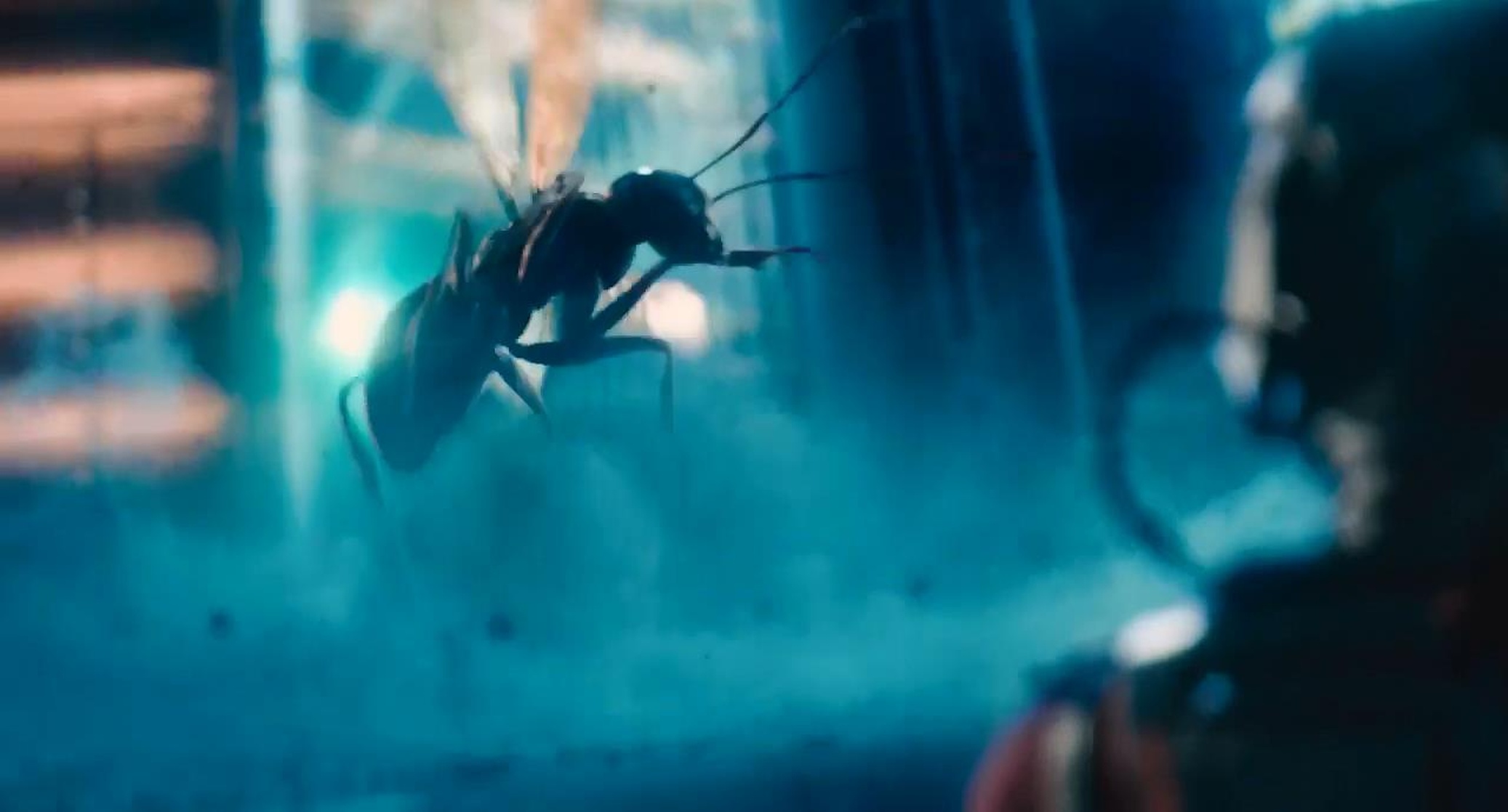 Ant-Man