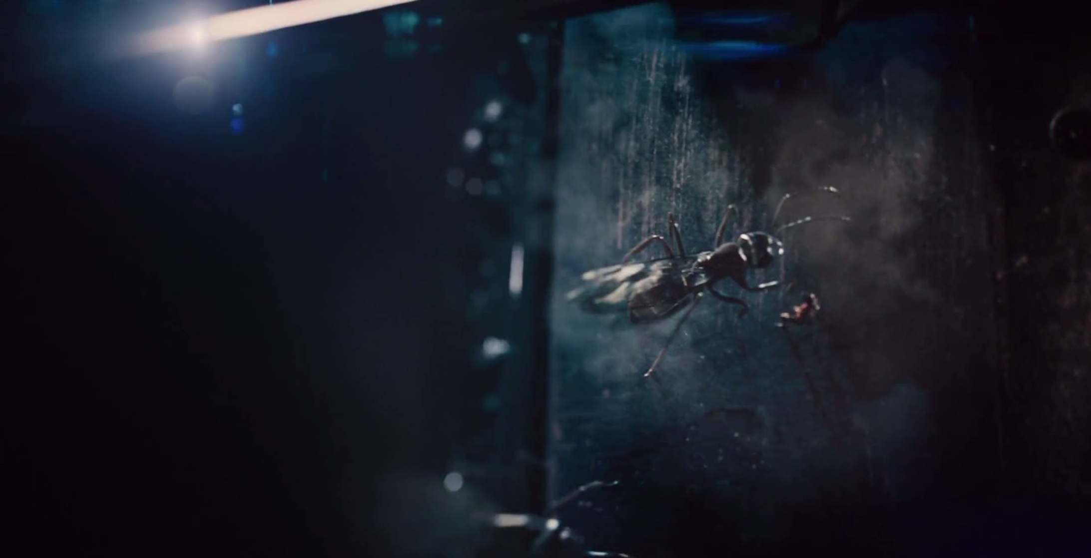 Ant-Man