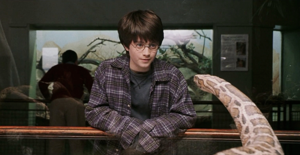 Boa constrictor (Harry Potter)