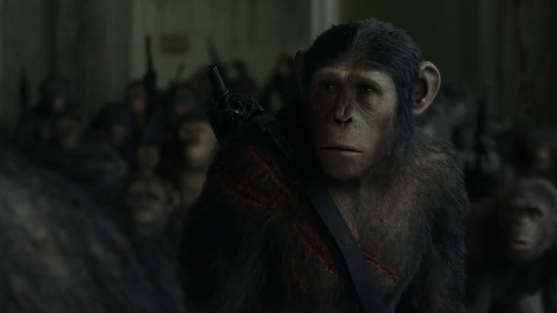 Picture of Dawn of the Planet of the Apes