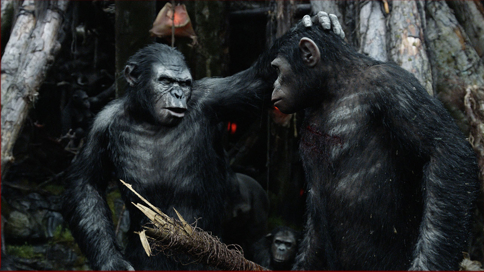 Dawn of the Planet of the Apes