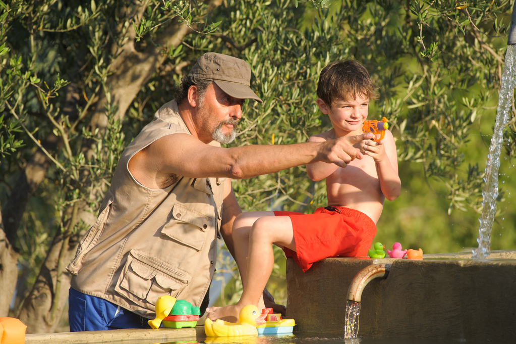 My Summer in Provence