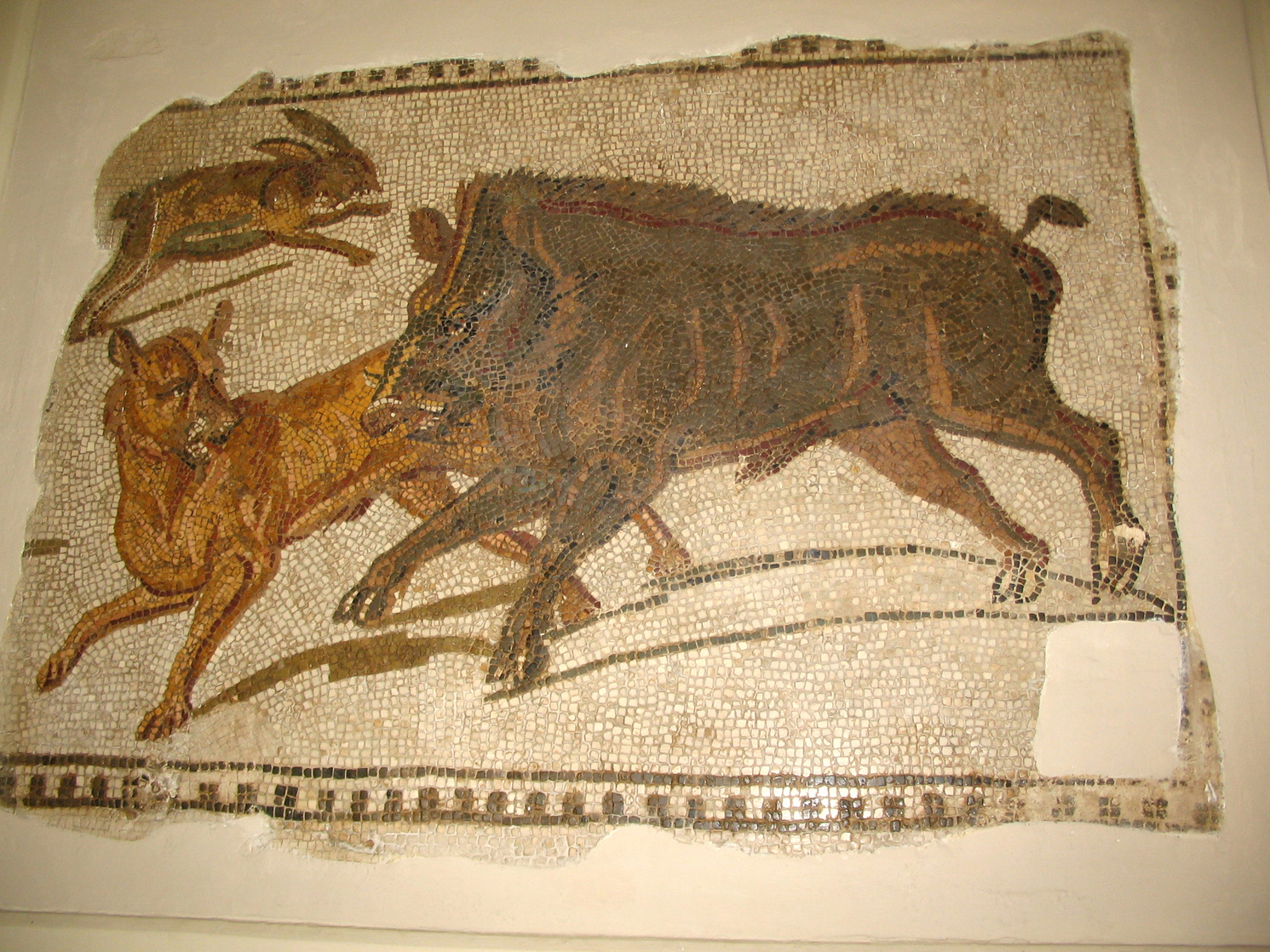 Bardo National Museum