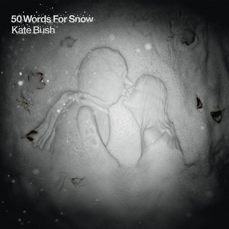Picture of 50 Words For Snow