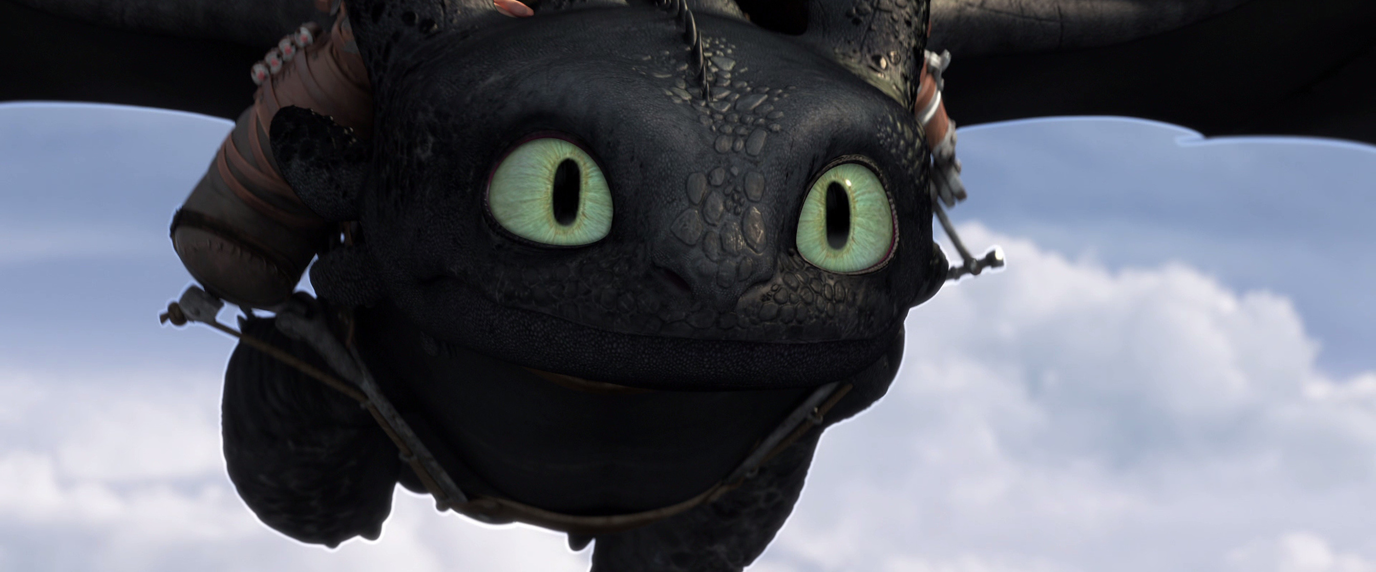How to Train Your Dragon 2 (2014) How to Train Your Dragon 2 (2014)