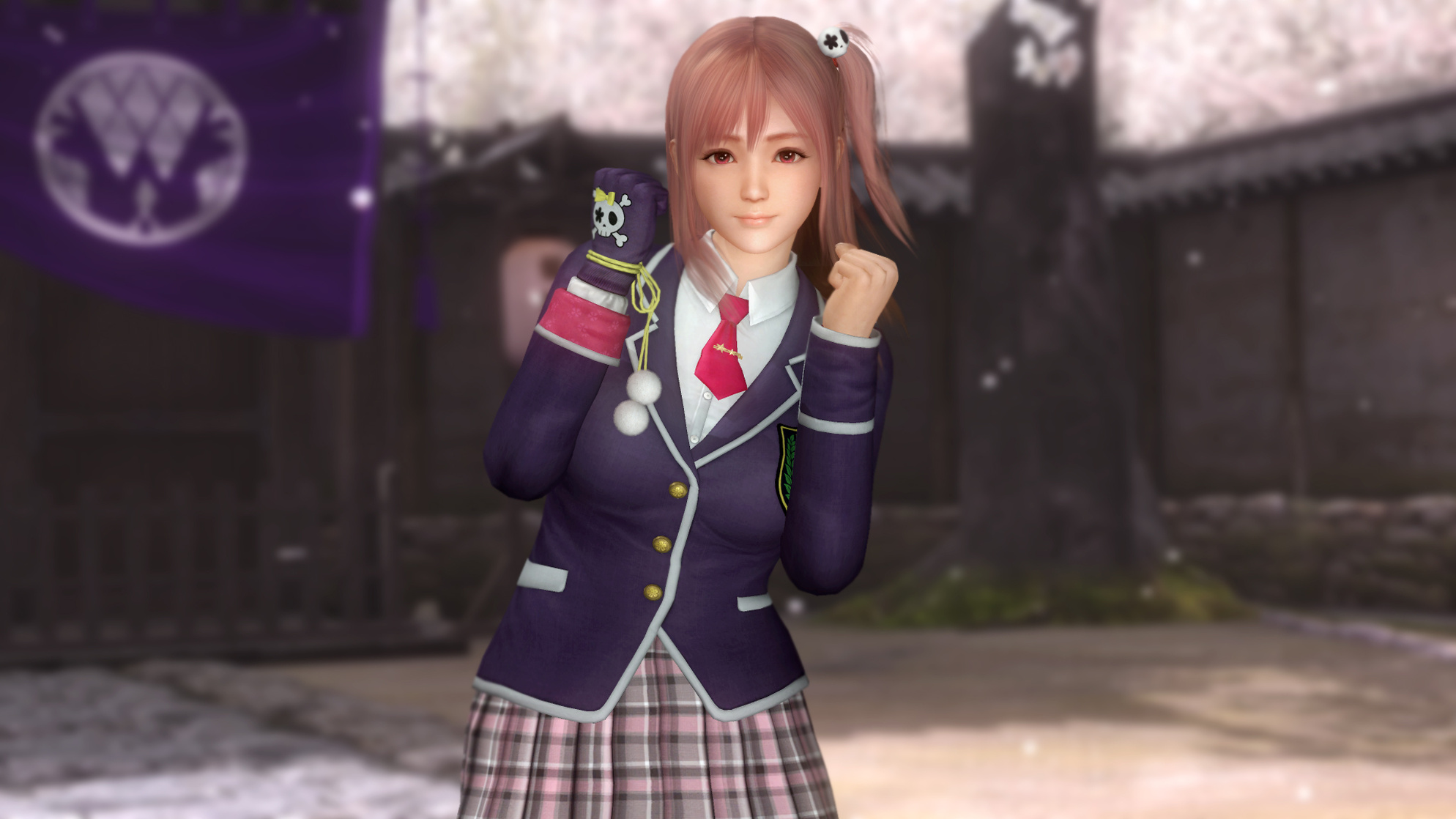 Dead or Alive 5 Last Round