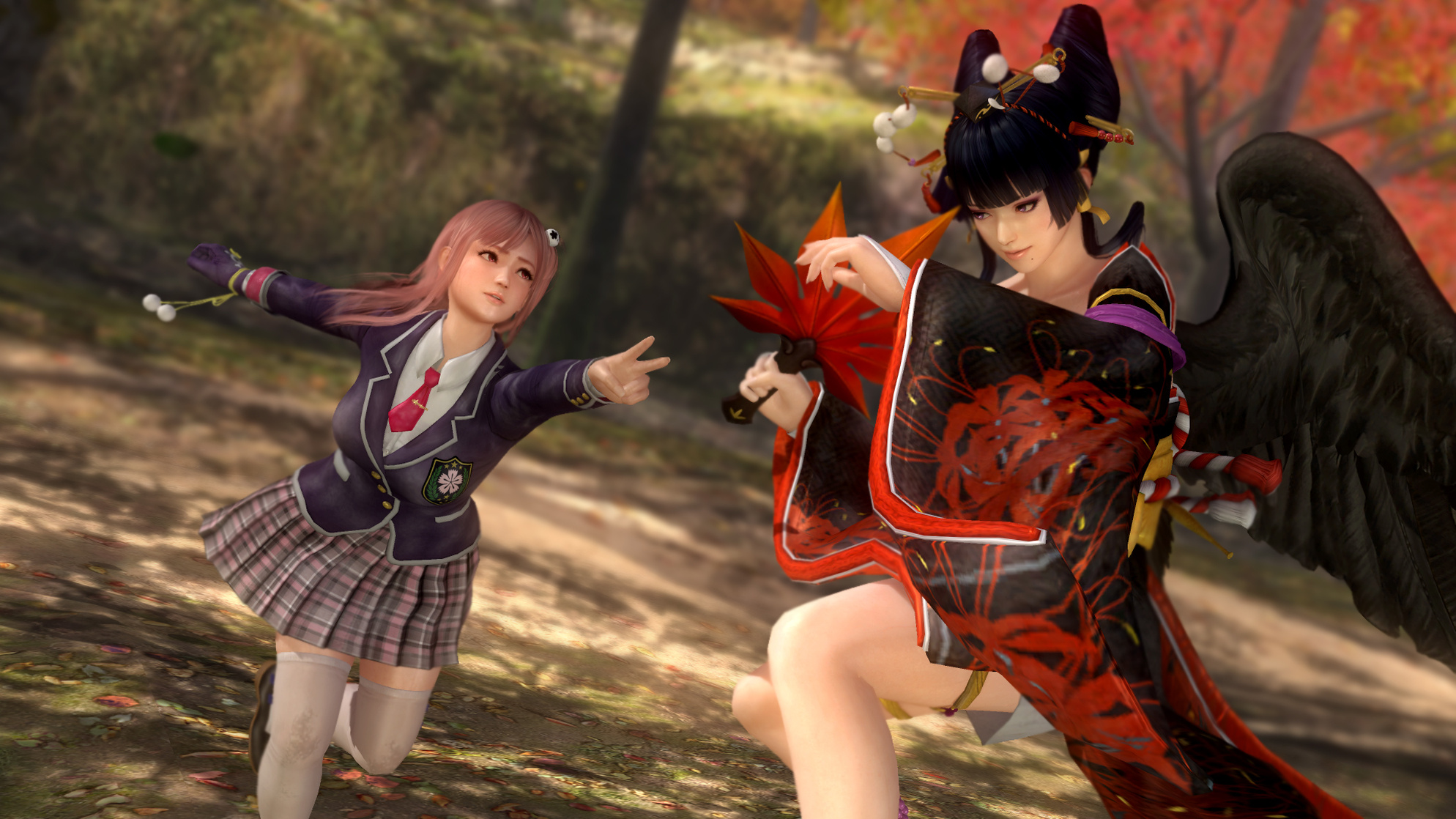 Dead or Alive 5 Last Round