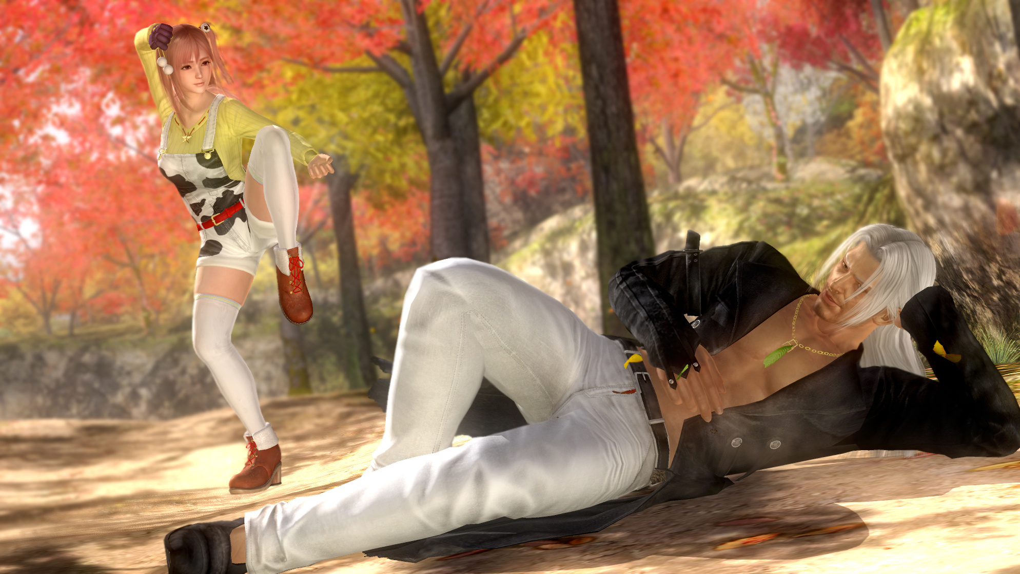 Dead or Alive 5 Last Round