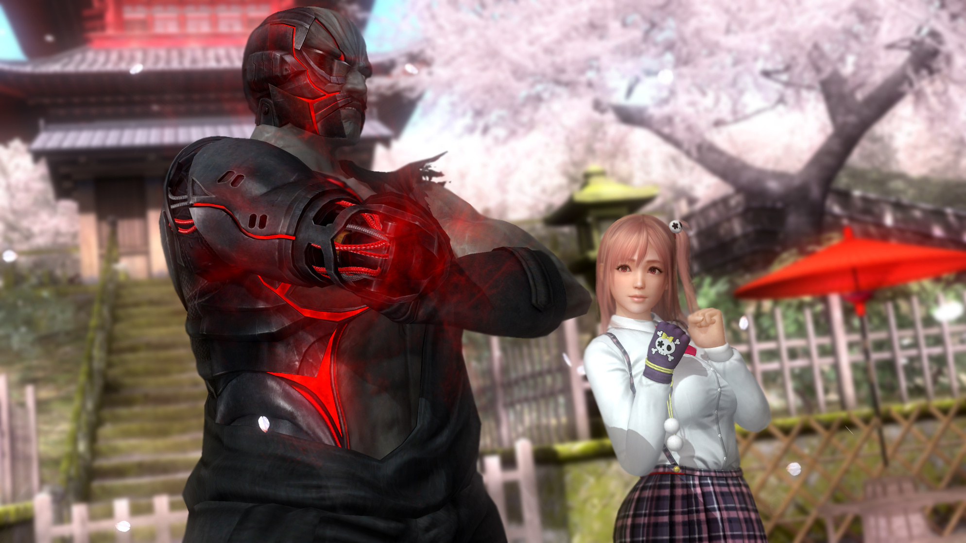 Dead or Alive 5 Last Round