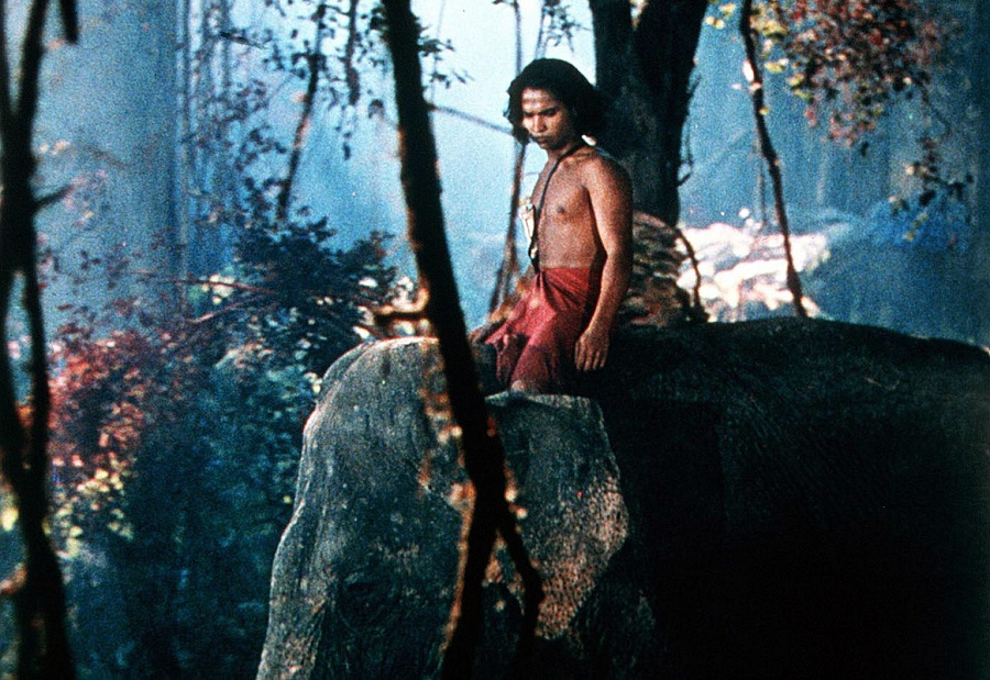The Jungle Book