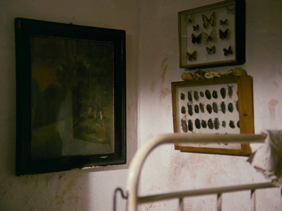 Alice (1988)