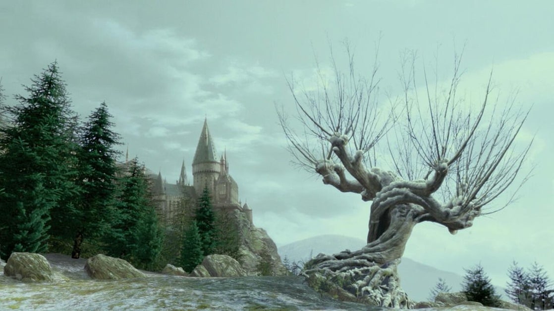 hogwarts whomping willow