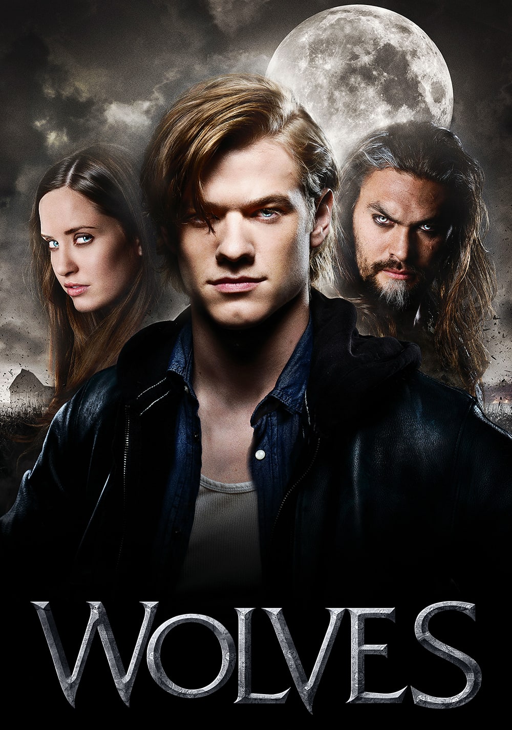 Picture of Wolves (2014)