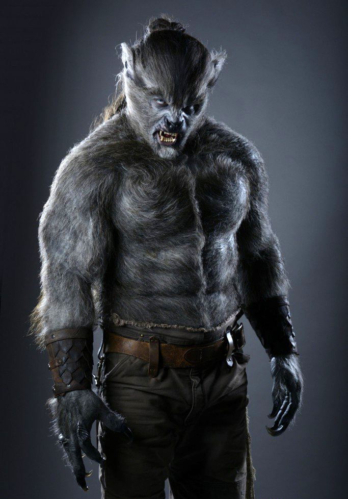 Picture of Wolves (2014)