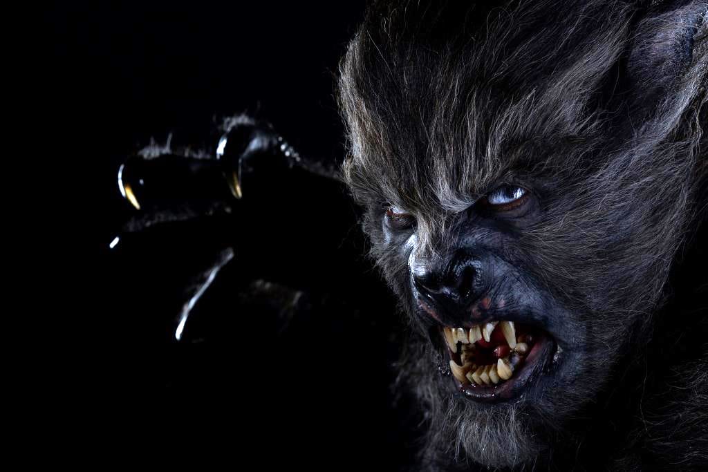 Wolves Wolves