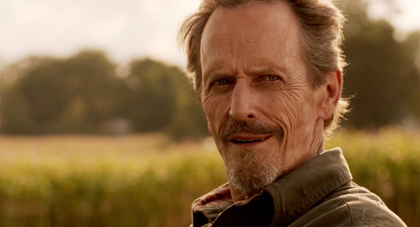 Picture of Wolves (2014)